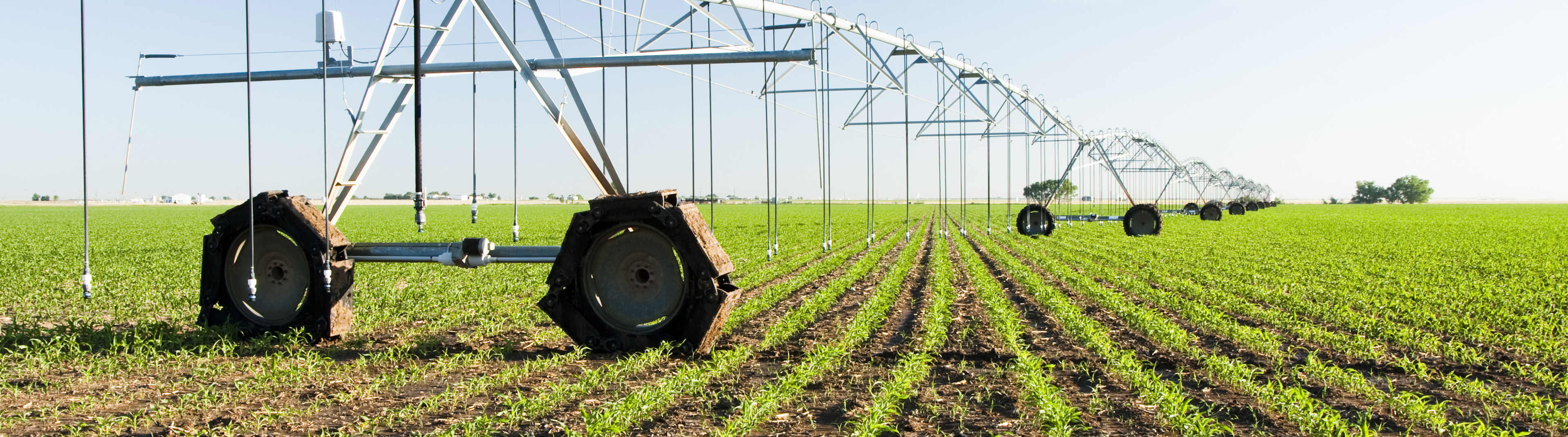 Clients DiNatale Water Consultants